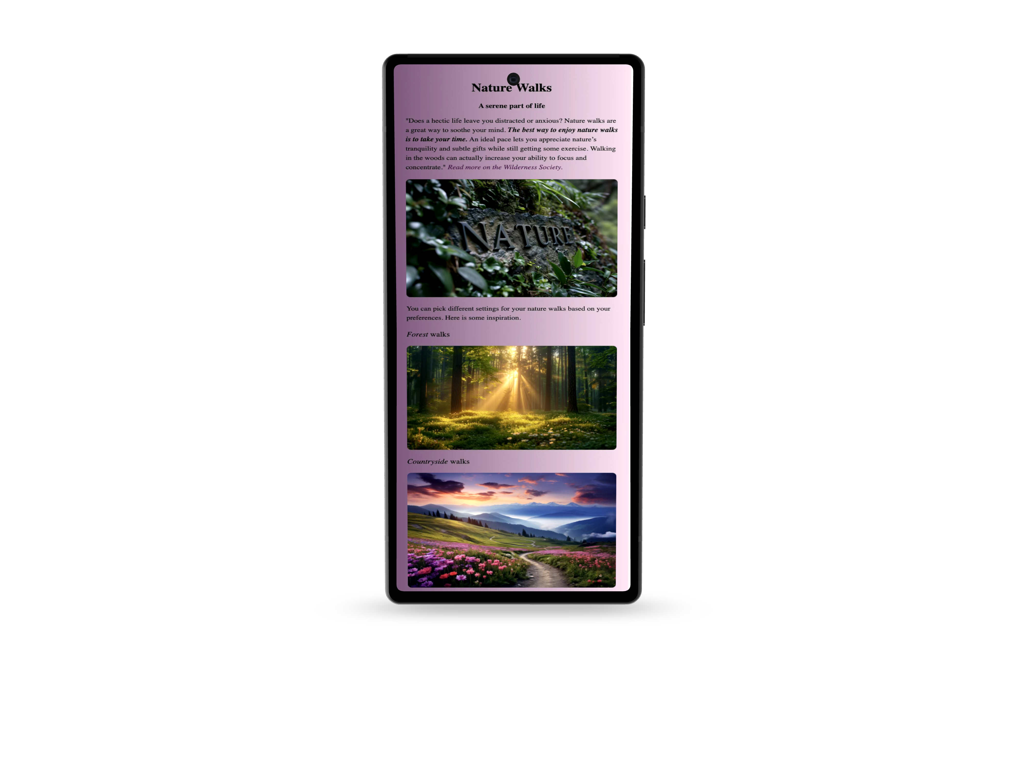 nature website preview